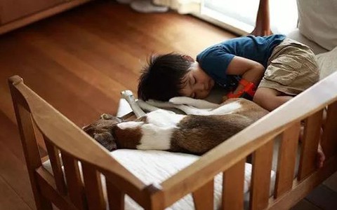 Những thay đổi đáng kinh ngạc về IQ của trẻ sau khi bị cha mẹ đánh mắng