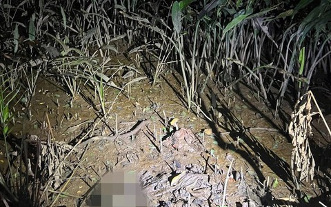 Vụ phát hiện bộ xương người dưới gầm đường dẫn cao tốc: Hiện trường có gì?