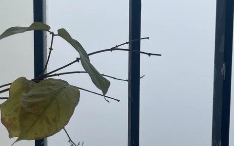 Dân mạng hào hứng ‘săn mây’ từ ban công Hà Nội