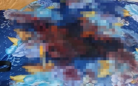 Vụ đôi nam nữ thương vong trong nhà nghỉ: Tin nhắn cuối cùng của nữ sinh lớp 12