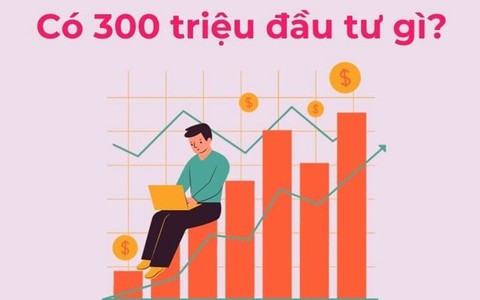 Làm gì với 300 triệu đồng nhàn rỗi?