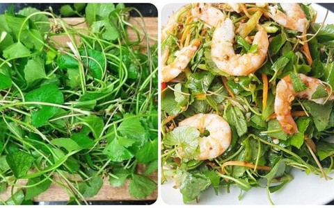 Rau má rất tốt nhưng 'đại kỵ' với những nhóm người sau