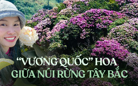 Lạc bước giữa Hoàng Liên ngắm "vương quốc hoa" đỗ quyên bung nở rực rỡ, biểu tượng của vùng đất chất chứa nhiều điều bí ẩn