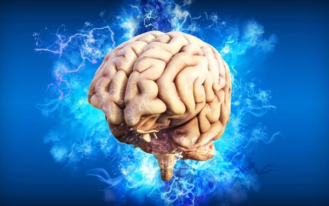 AI phát hiện sự khác biệt đáng kể giữa bộ não của nam và nữ