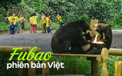 Hóa ra ngay gần Hà Nội cũng có các "đỉnh lưu" ngoan xinh yêu, lên lịch cho con đi chơi lễ thôi các mẹ!