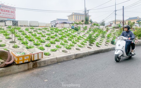Trên đê Nguyễn Khoái, chỗ trồng rau phủ xanh, chỗ ngập rác ô nhiễm