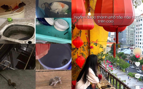 Quán cà phê "chữa lành" nổi tiếng nhưng "lành ít dữ nhiều" ở TPHCM: Chuột chạy tung tăng trong bếp, đồ ăn có dòi vẫn dùng... cho tiết kiệm?