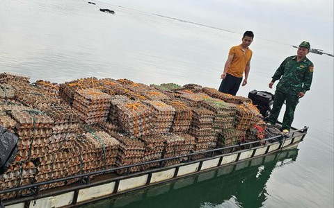 Dùng bè gỗ buôn lậu gần 30 nghìn quả trứng gà từ Trung Quốc