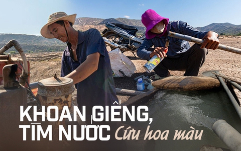 Xót xa cảnh bà con nông dân Ninh Thuận nỗ lực khoan giếng, tìm nước cứu hoa màu khi hồ thủy lợi khô đáy