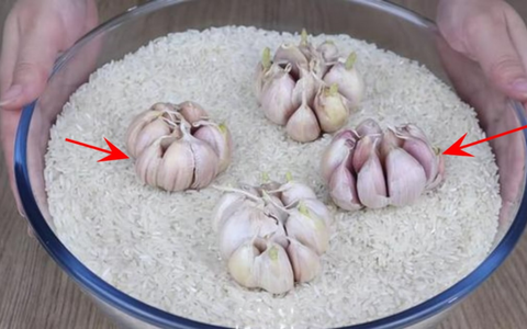 Công dụng của việc vùi củ tỏi vào thùng gạo