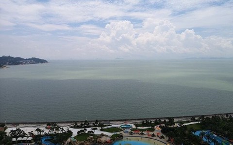 Nhảy xuống biển bơi sang Macao trốn nợ, người đàn ông gặp họa vừa bi vừa hài