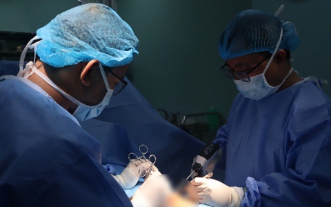 Đỡ đẻ cho heo, người đàn ông bị heo táp rách cơ quan sinh dục
