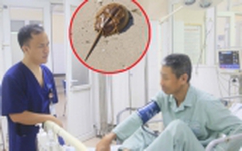 Biết so có độc nhưng vẫn ăn, người đàn ông phải nhập viện rửa dạ dày