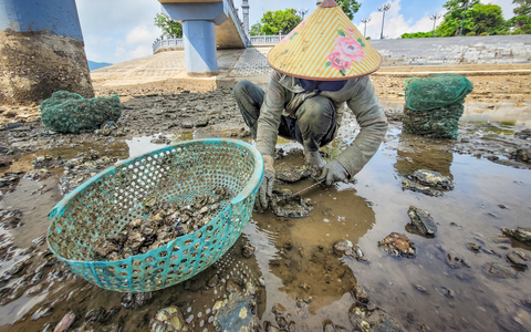 Nghề đẽo đá "ra tiền" của những người phụ nữ vùng biển