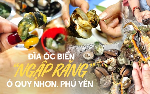 Quy Nhơn - Phú Yên đi một lần nhớ mãi cũng vì thứ đặc sản "ngập răng" này, trong đó có loại vị ngon miễn bàn!