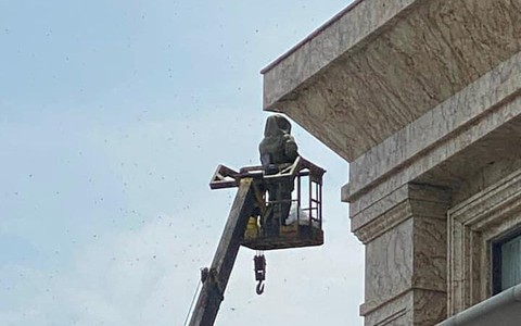 Khách sạn thuê người phá tổ ong, nhiều người đi đường bị đốt nhập viện