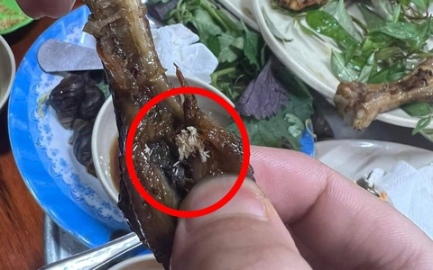 Kinh hãi "cả gia đình" giòi bò ngoe nguẩy trong chiếc chân gà ở quán ốc