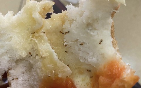 Ổ bánh mì của thương hiệu nổi tiếng "đính kèm"... ổ kiến, dân mạng phản ứng bất ngờ: "Lỗi thời mới đi ăn bánh mì này!"