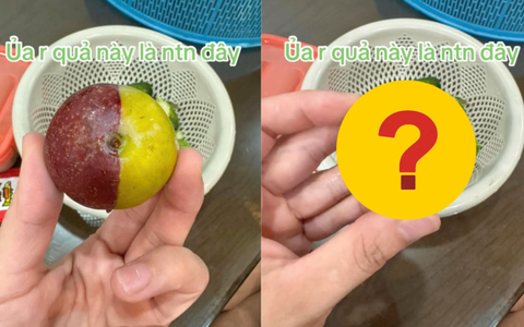 Quả mận "đột biến" với 2 nửa 2 màu khác hoàn toàn khiến dân mạng ngỡ ngàng, càng bất ngờ hơn khi nhìn bên trong ruột