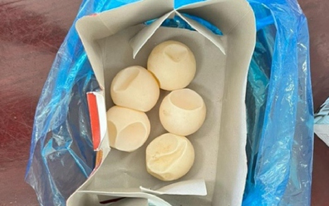 Mẹ chồng nàng dâu bị phạt hơn 1 tỉ đồng vì mua trứng rùa biển trái phép