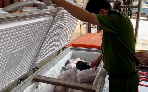 Tạm giữ hàng tấn thịt gà đông lạnh không rõ nguồn gốc