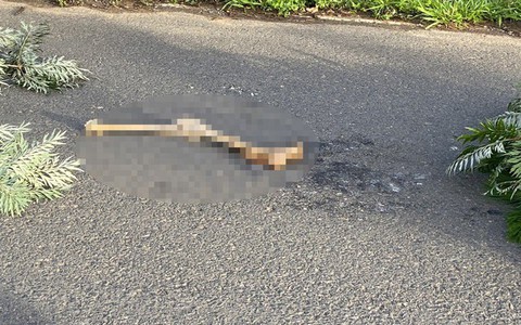 Đà Lạt: Phát hiện vật giống chân người trong hồ Tuyền Lâm