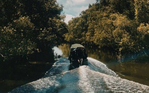 Vườn Quốc gia Tràm Chim - khu Ramsar thế giới của Việt Nam: Mộc mạc, hoang sơ nhưng ẩn chứa vô vàn vẻ đẹp kỳ vĩ