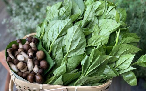 Cách làm mồng tơi xào nấm siêu ngon