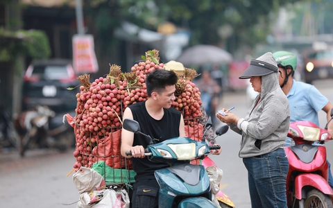 Bắc Giang: Người dân phấn khởi vì giá vải thiều cao chưa từng có, gần 100.000 đồng/kg