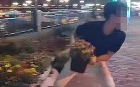 Chuyện có thật ở Đà Nẵng, trộm cây rồi đăng clip lên TikTok câu view
