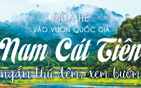 Mùa hè vào Vườn Quốc gia Nam Cát Tiên ngắm thú đêm, xem bướm