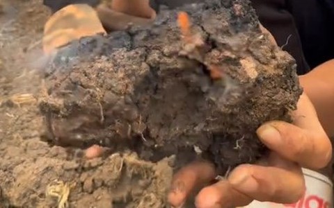 Sự thật về thông tin ruộng lúa tự bốc khói, bốc cháy ở Gia Lai