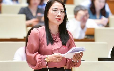 Đại biểu Quốc hội: Xuất hiện tình trạng mua bán nam giới