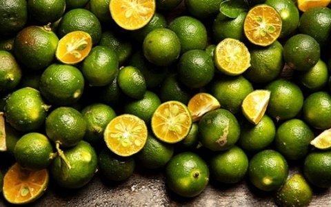 Loại quả nhỏ nhưng có võ, là vị thuốc dân gian chữa bệnh hiệu quả