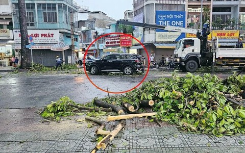 Mưa lớn ở TP.HCM làm cây đổ đè ô tô, 6 người may mắn thoát chết