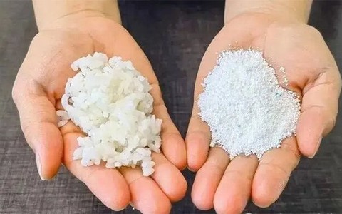 Cách diệt gián cực kỳ hiệu quả bằng cơm nguội và bột giặt