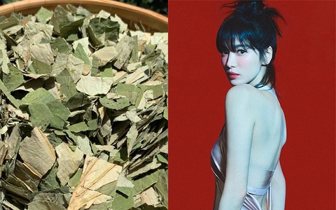 Loại lá phơi khô là "thảo dược xanh" Việt Nam đang sẵn: Nấu nước thành trà chống nắng tự nhiên, da trắng dáng thon