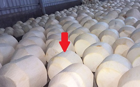 Một loại quả của Việt Nam sắp xuất khẩu sang Trung Quốc, ngành hàng tỷ USD của nước láng giềng ĐNÁ lo ngại