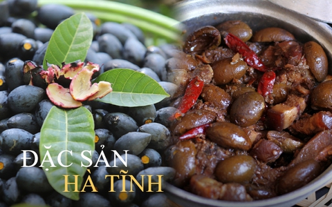 Hà Tĩnh có loại quả đặc sản đen xì nhưng ngọt thơm, biết dùng sẽ thành "thuốc quý" chữa đủ thứ bệnh