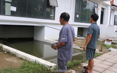 Câu cá dưới hầm biệt thự "triệu đô" ở Hà Nội