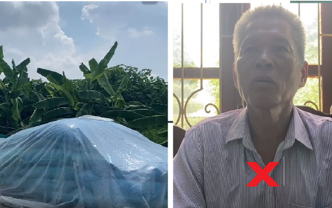 Người đàn ông đêm hôm đột nhập vào trộm cắp 13 bao lông vịt