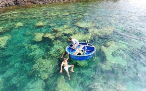 Những điểm lặn biển ngắm san hô đẹp ở Việt Nam