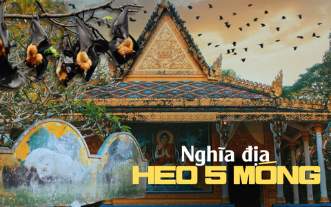 Lạ lùng nghĩa địa heo năm móng trong ngôi chùa hơn 400 tuổi ở Sóc Trăng