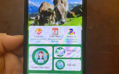 Một người phụ nữ suýt mất 300 triệu đồng khi "nuôi bò" online