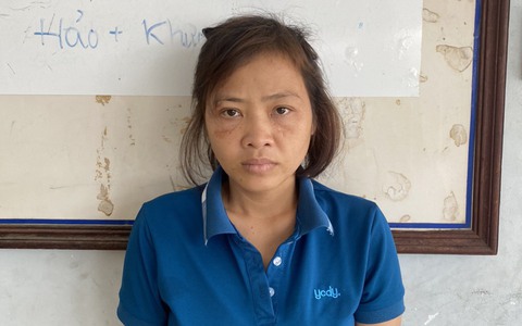 "Nữ quái" Nguyễn Thị Ánh Đào cầm đầu đường dây mua bán trẻ sơ sinh trải dài 32 tỉnh thành