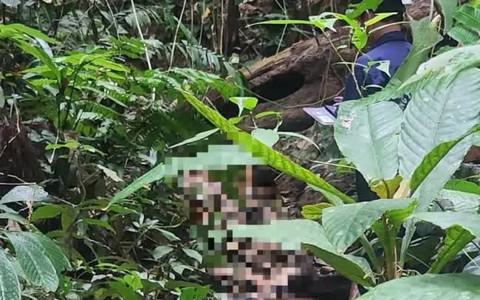 Tìm thấy thi thể cụ bà 70 tuổi mất tích tại đèo Phượng Hoàng