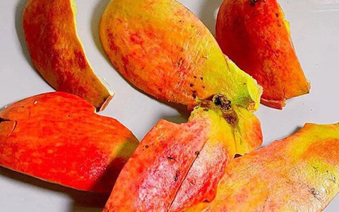 Ăn lựu đừng vội vứt vỏ, dùng nó bón cây, đuổi côn trùng rất tốt