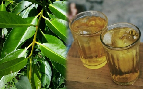 Loại nước vỉa hè được yêu thích không kém trà đá, là "vua hạ đường huyết tự nhiên", chống ung thư nhưng có 3 lưu ý khi dùng