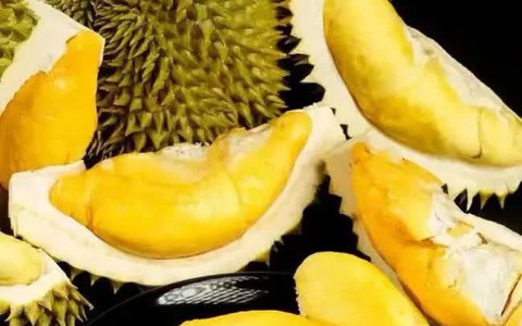 Mẹo khử mùi sầu riêng nhanh nhất