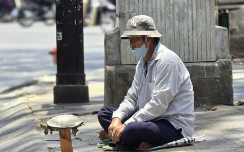 Mua bán rùa ở đường phố để phóng sanh, coi chừng lãnh án tù